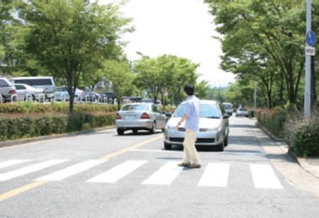 横断歩道付近での交通ルール