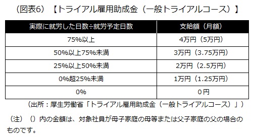 トライアル雇用助成金（一般トライアルコース）