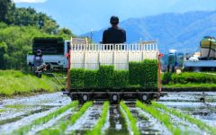 農業法人の設立～会社法人の場合～