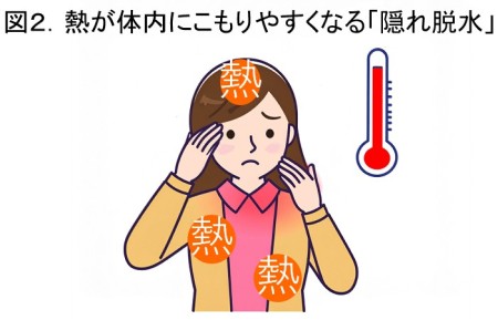 熱が体内にこもりやすくなる「隠れ脱水」