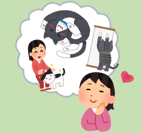 猫派