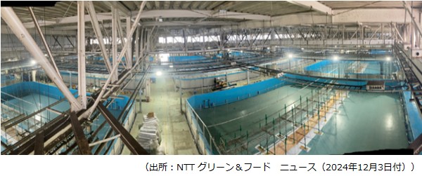 NTTグリーン＆フード